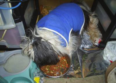 2014012405-s.jpg