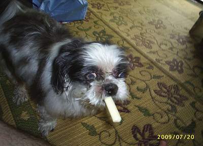 200907202-s.jpg
