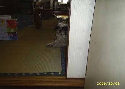 200910012-s.jpg