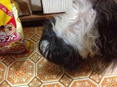 201212051-s.jpg