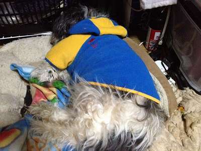 201301151-s.jpg