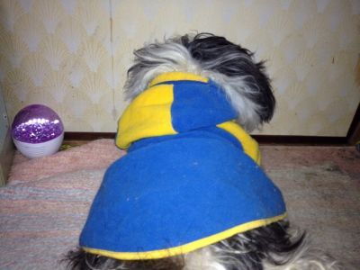 201303021-s.jpg