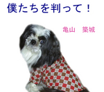 hyoushi-bokutachi.jpg