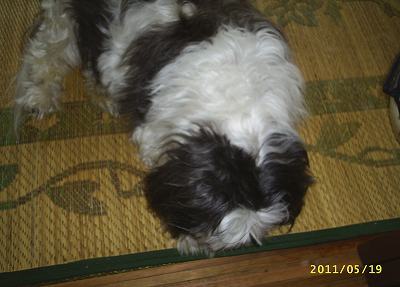s-201105191.jpg