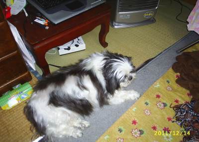 s-201112141.jpg