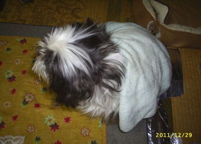 s-201112291.jpg