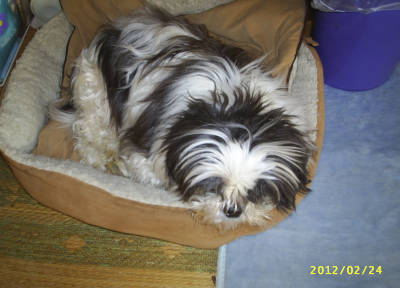 s-201202241.jpg