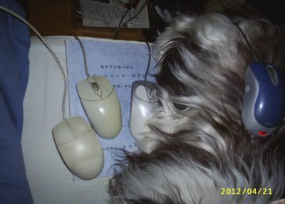 s-201204212.jpg