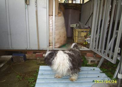 s-201204261.jpg