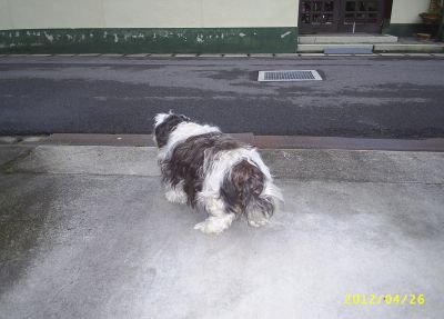 s-201204262.jpg