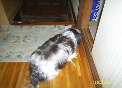s-201205232.jpg
