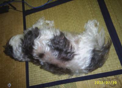 s-201207301.jpg