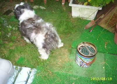 s-201208191.jpg