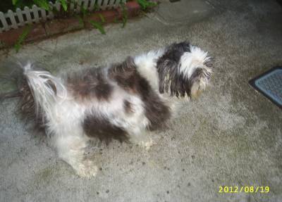 s-201208192.jpg