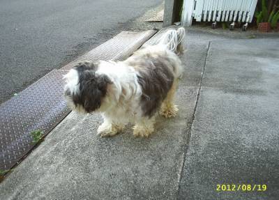 s-201208193.jpg