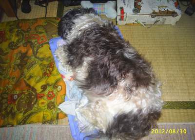 s-201208301.jpg