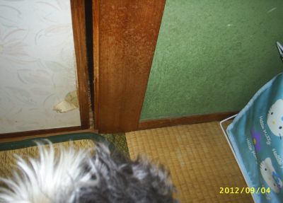 s-201209041.jpg