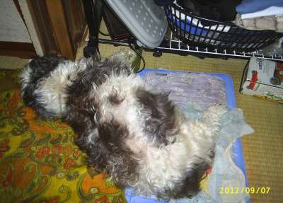 s-201209071.jpg