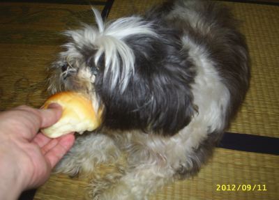 s-201209111.jpg
