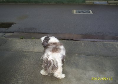s-201209112.jpg