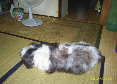 s-201209121.jpg