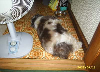 s-201209151.jpg