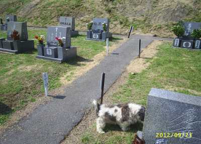 s-201209232.jpg