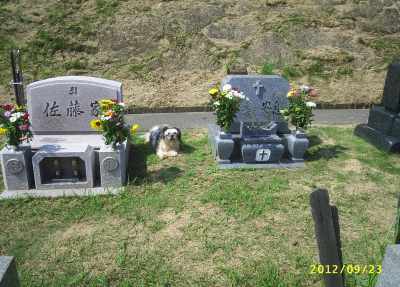 s-201209233.jpg
