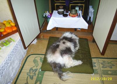 s-201210202.jpg