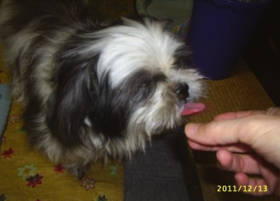 s-201112132.jpg