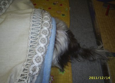 s-201112142.jpg