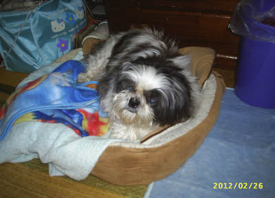 s-201202261.jpg