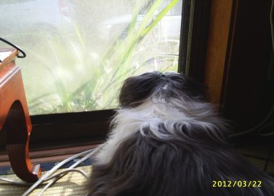 s-201203222.jpg
